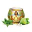 Yogi\u0020Tea\u0020Lime\u0020Mint